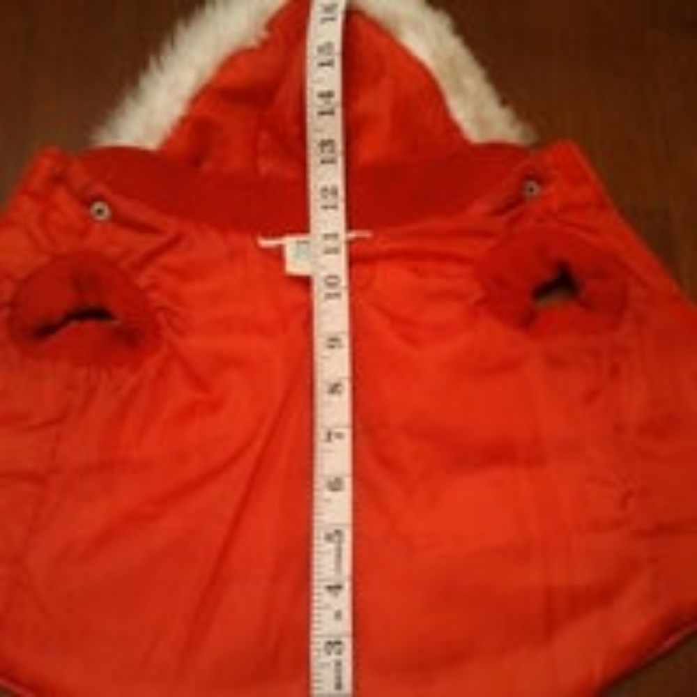 Dog Jacket, Martha Stewart Pets, Medium - Picture 3 of 8